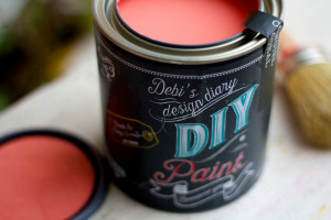 Cowgirl Coral, DIY Paint